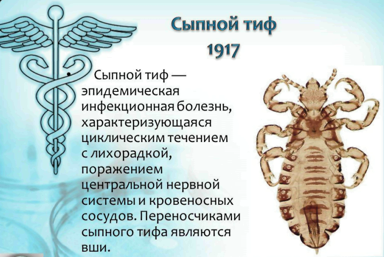 О возможном осложнении эпидемической ситуации по сыпному тифу в Украине